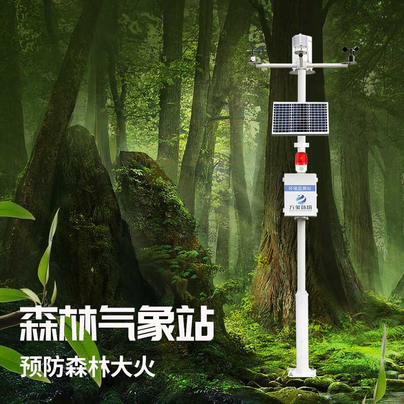 森林防火監(jiān)測系統(tǒng)為保護森林做了哪些努力？